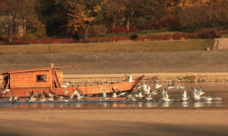 Toru: Sightseeing Cruises on the Vistula River - Key Points