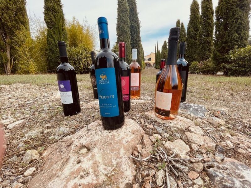 TOSCANA -Guided Tour, Wine Tasting, and Local/Syrian Bites - Final Thoughts