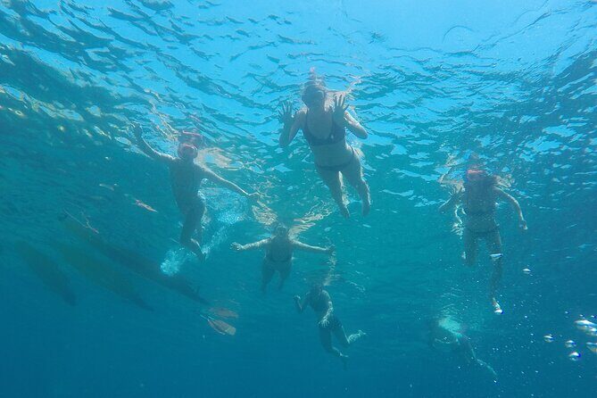 Tossa de Mar: Kayak & Snorkel Tour with Paella from Barcelona - FAQ