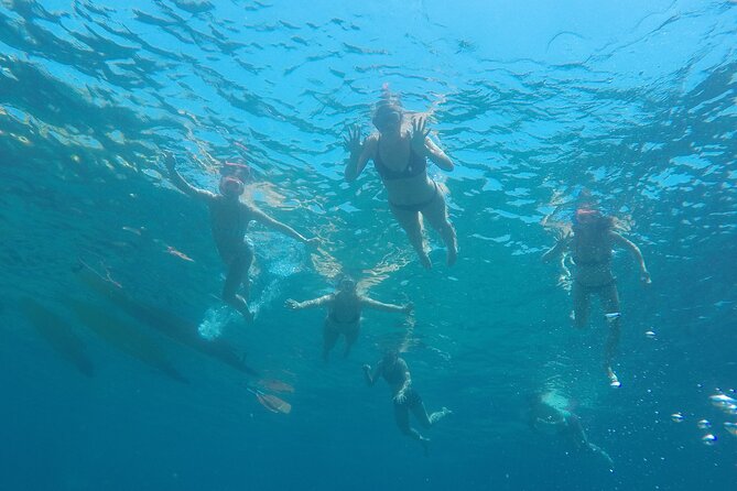 Tossa de Mar: Kayak & Snorkel Tour with Paella from Barcelona - Wildlife and habitat talk: what’s actually useful