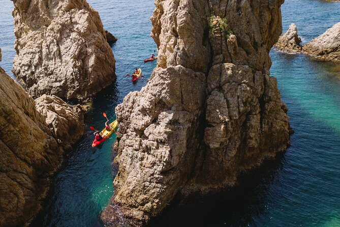 Tossa de Mar: Kayak & Snorkel Tour with Paella from Barcelona - Lunch by the sea: 3-course meal plus a drink