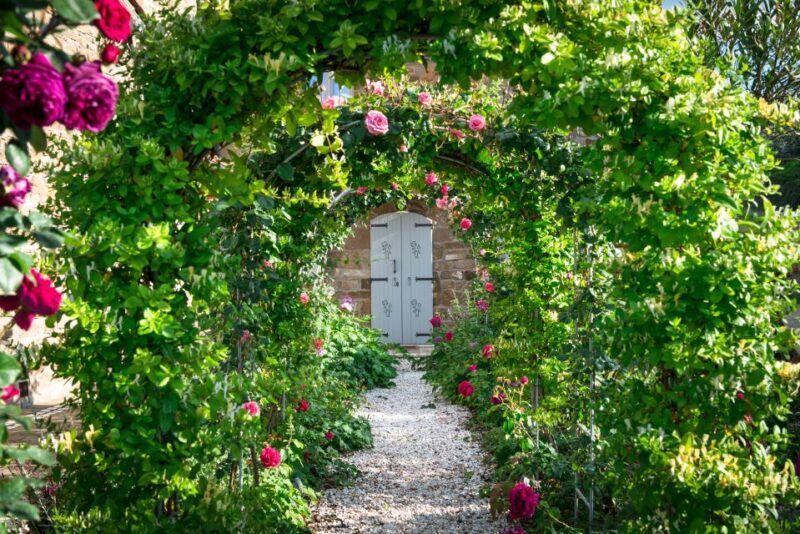 Total Immersion Wine Tour in Chianti - Exploring the Total Immersion Wine Tour in Chianti: An Honest Look