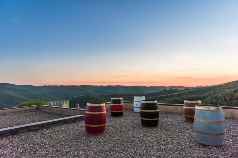 Total Immersion Wine Tour in Chianti - FAQ