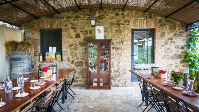 Total Immersion Wine Tour in Chianti - Final Thoughts