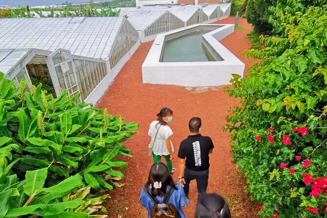 Totally personalized private tour to Sete Cidades and Lagoa do Fogo (west) - Practical Considerations