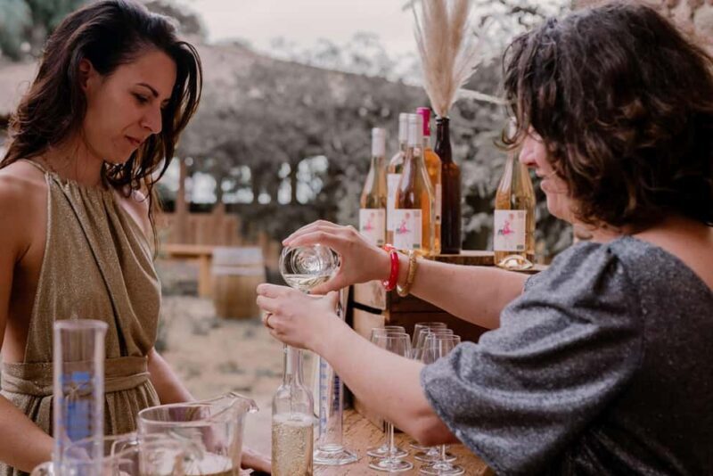 Toulouse Center: Southwestern Wine Tasting Workshop - Key Points