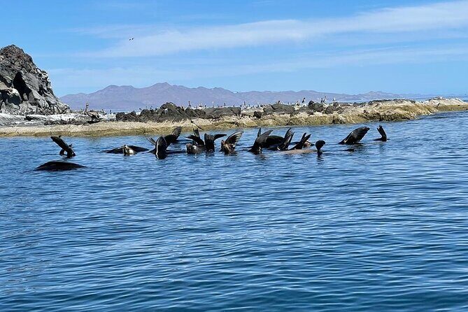 Tour a la Isla Coronados con actividad de esnorquel - Who Is This Tour Best For?