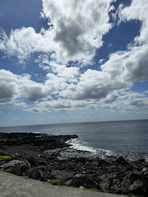 Tour along the coast of Terceira Island - Why Travelers Love This Tour