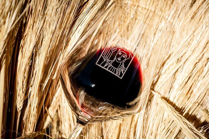 Tour and Tasting at an Organic Winery in the Heart of Chianti Classico Area - FAQ