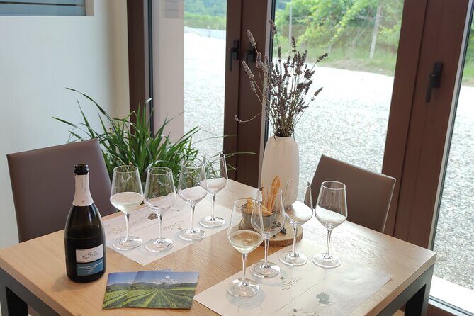 Tour and tasting in the hills of Prosecco Superiore DOCG - A Detailed Look at the Tour and Tasting in the Hills of Prosecco Superiore DOCG