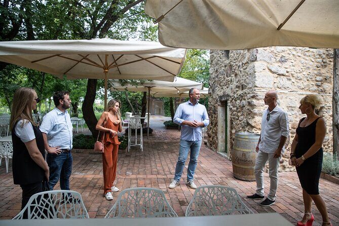 Tour and Tasting of Organic Wines in Lazise - The Itinerary: A Closer Look