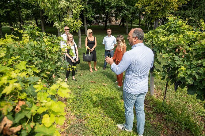 Tour and Tasting of Organic Wines in Lazise - Who is This Tour Perfect For?