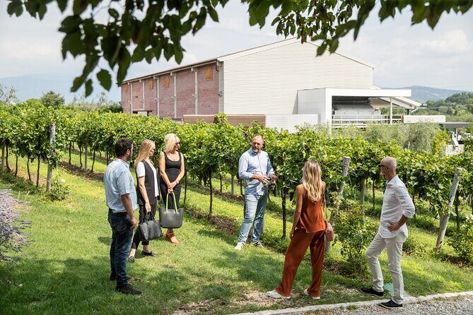 Tour and Tasting of Organic Wines in Lazise - FAQ