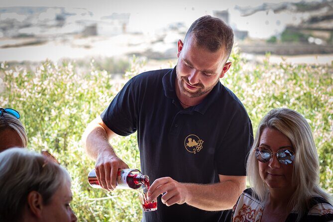 Tour and Wine Tasting in Mykonian Land - Pricing & Overall Value