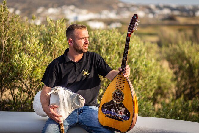 Tour and Wine Tasting in Mykonian Land - Group Size & Logistics