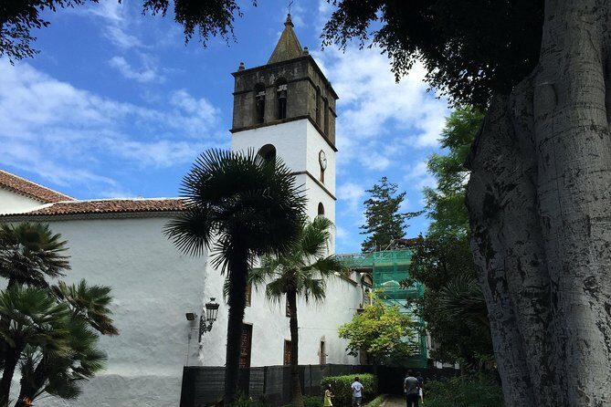 Tour Around the Island - Private VIP Tour in Tenerife - Breaking Down the Experience: What to Expect