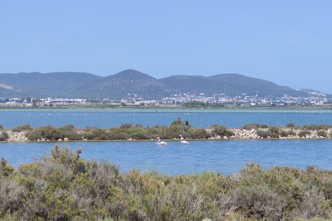 TOUR around the JEWELS of IBIZA SALT BEDS, ES VEDRA, TIME & SPACE - How About the Price?