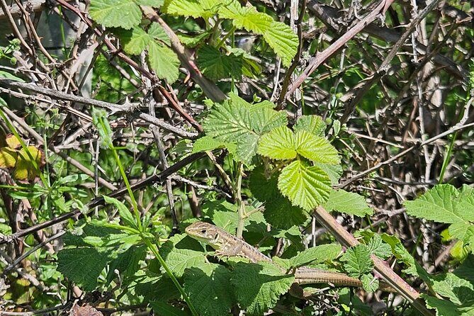 Tour Around the Lake Albania from Ohrid - Final Thoughts