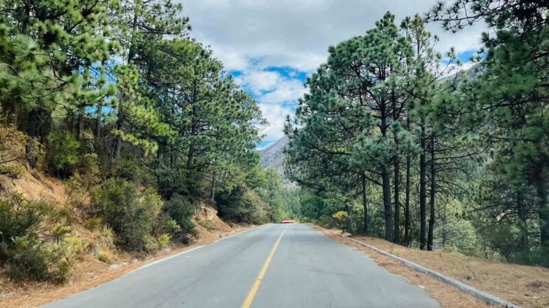 Tour "Arteaga Coahuila" + Guía + Traslados + Tickets - Discovering Arteaga: What to Expect