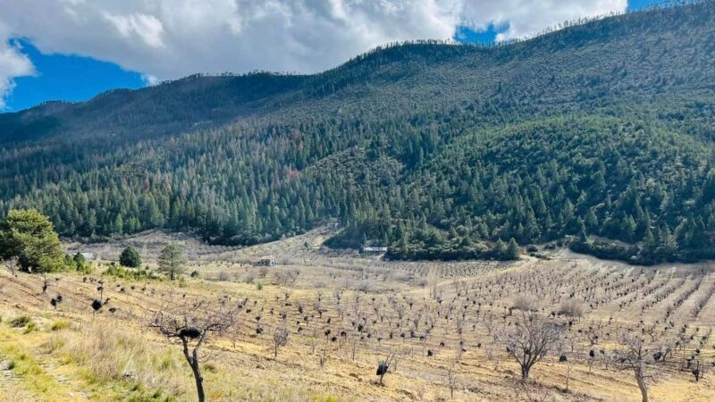 Tour "Arteaga Coahuila" + Guía + Traslados + Tickets - FAQ