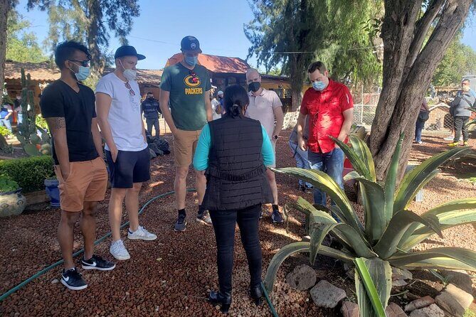 Tour Basilica de Guadalupe and Teotihuacan - FAQs