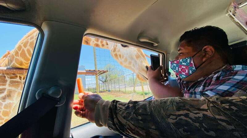 Tour "Bioparque" + Traslados + Tickets incluidos - Your Guide to the Bioparque Estrella Safari Tour