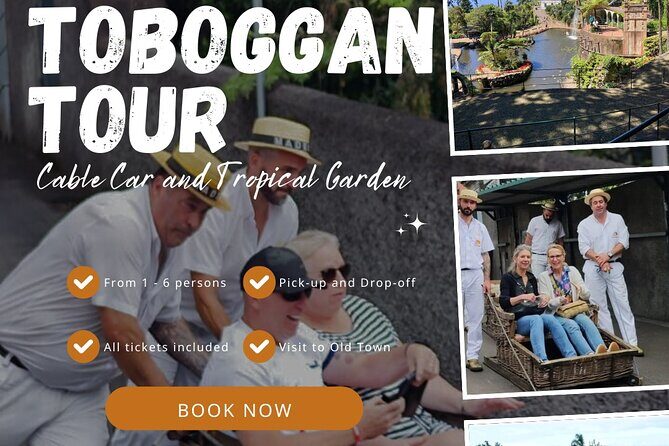Tour Cable Car Toboggan Tropical Garden and Skywalk - Key Points