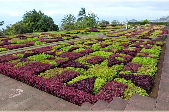 Tour Cable Car Toboggan Tropical Garden and Skywalk - Final Thoughts