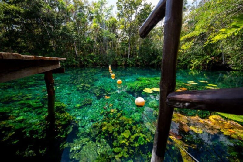 Tour Coba Ruins & Refreshing Cenote Xux Ha Swim With Lunch - A Deep Dive Into the Experience