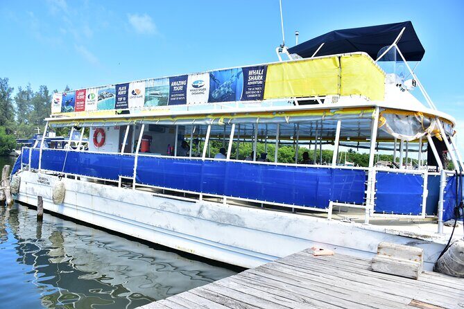 Tour Contoy Magic Island! Round Transportation From Cancun & Playa Del Carmen - The Real Deal: What You Can Expect from the Tour