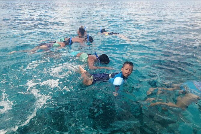 Tour Cozumel Snorkel Experience! Lunch & Transportation only from Cancun - Post-Snorkel Break & Lunch