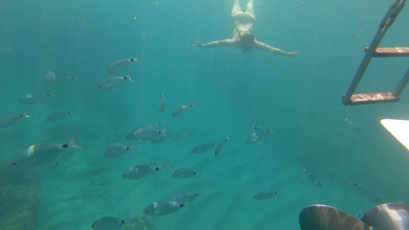 Tour da Avola A Portopalo con sosta e visita a Marzamemi - What to Expect from the Tour