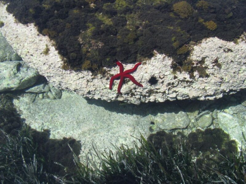 Tour di Giardini Naxos/Taormina, Isola Bella, Grotta Azzurra - FAQ
