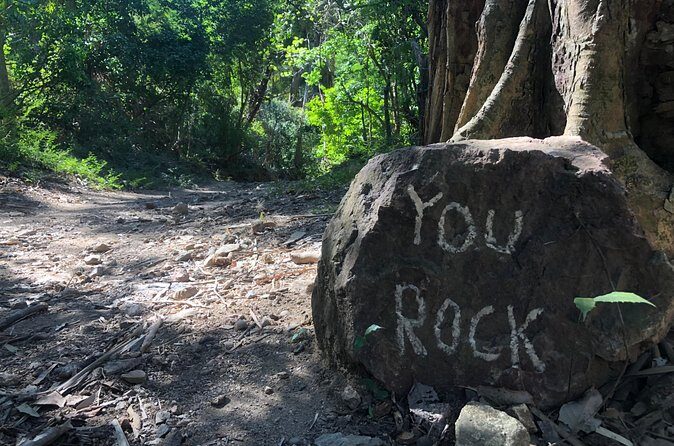 Tour Drone MX Bahía de Banderas - Practical Details and Considerations
