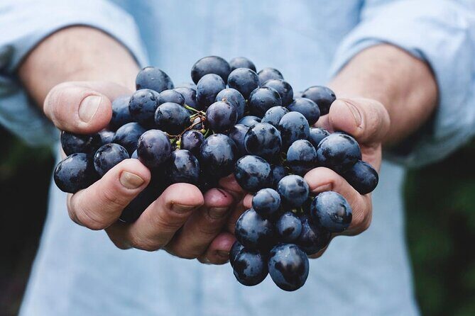 Tour Etna & Wine Tasting - FAQ