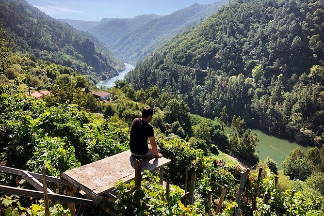 Tour from santaigo to Ribeira sacra with boat trip - Key Points