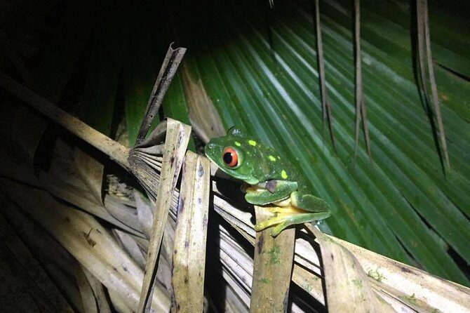 Tour Herpetologico - A Closer Look at the Tour Itinerary