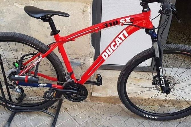 Tour in bike history Island Ortigia and archeological park Neapolis - Authentic Traveler Experiences