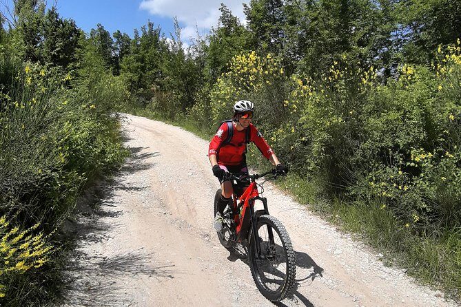 Tour in eBike Riserva Gola del Furlo and Tartufo - Who Is This Tour Best For?