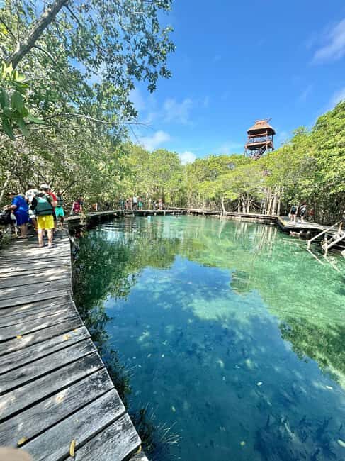 Tour in Italian in Holbox - Final Thoughts: Is It Right for You?