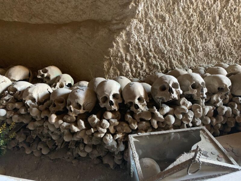 Tour in Minivan Mercedes to Sorrento & Pompeii - Key Points