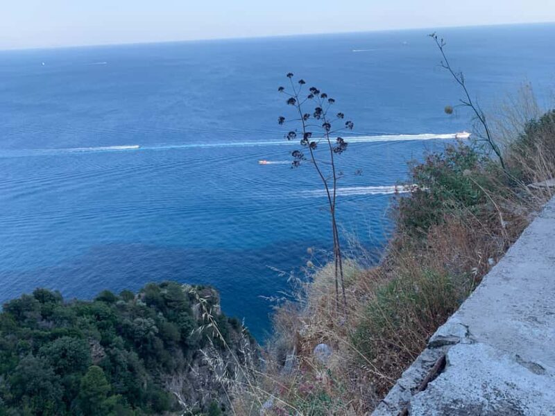 Tour in Minivan Mercedes to Sorrento & Pompeii - Who Should Consider This Tour?