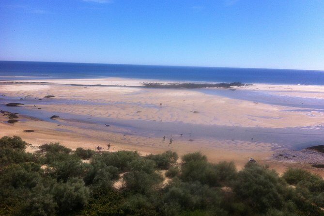 Tour in Paradise: Ria Formosa - Practical Details and Considerations