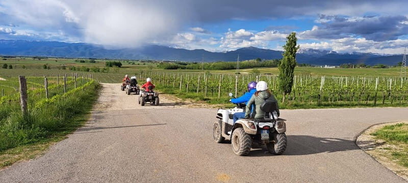 Tour in Quad Friuli Venezia Giulia - The Bottom Line