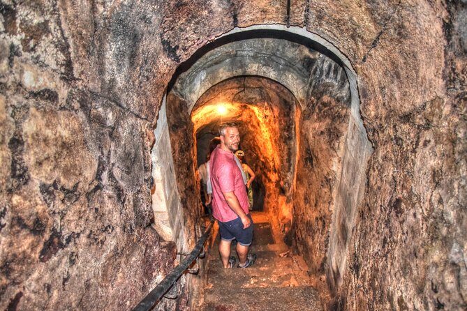 Tour in Ribera del Duero "like a native", with traditional Spanish tapas - Key Points