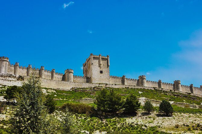 Tour in Ribera del Duero "like a native", with traditional Spanish tapas - Final Thoughts