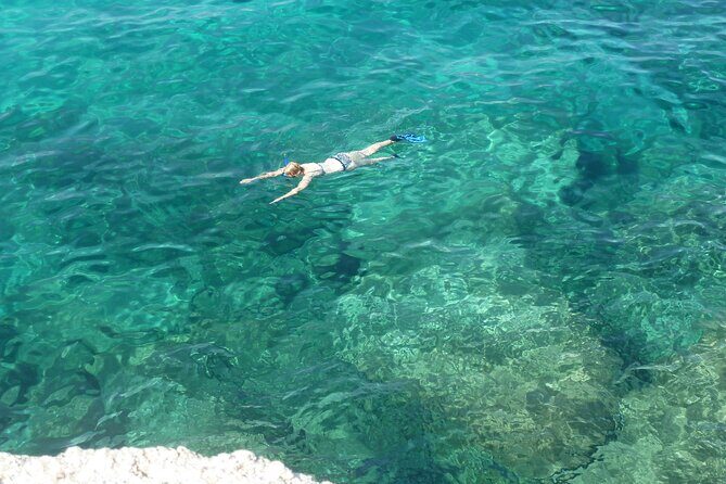 Tour in rubber dinghy and snorkeling in the Protected Marine Area of Tavolara - Key Points