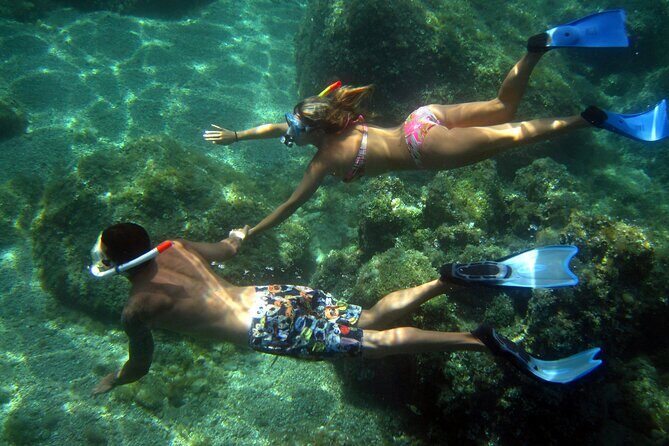 Tour in rubber dinghy and snorkeling in the Protected Marine Area of Tavolara - Final Thoughts