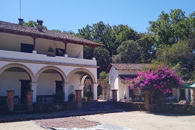 Tour in San Sebastian del Oeste - A Closer Look at the San Sebastián del Oeste Tour