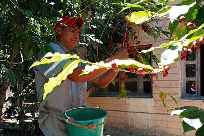 Tour in San Sebastian del Oeste - FAQs